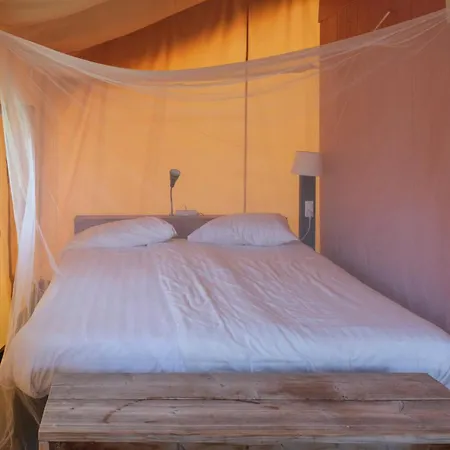 Kemp Tenuta Tredici Ulivi